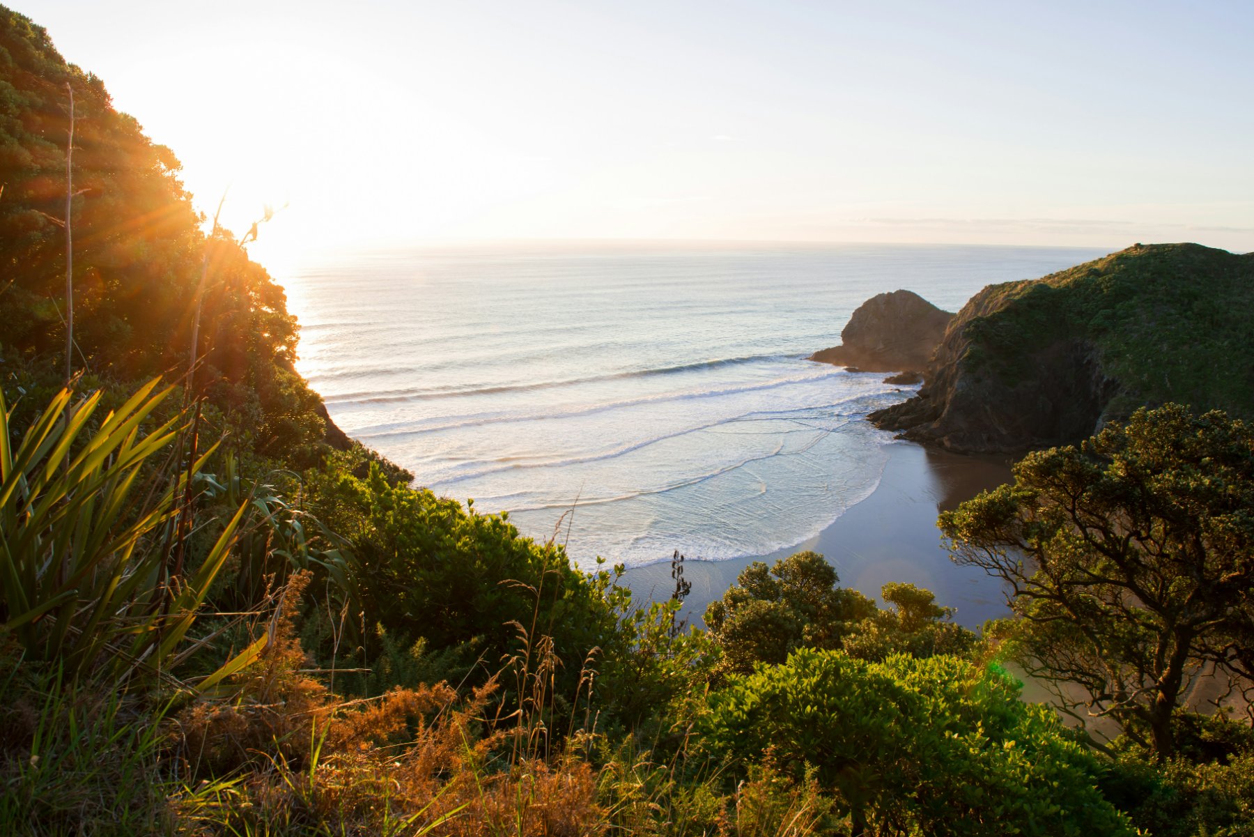 Piha beach at sunset, New Zealand coastline